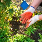 Efficient omgaan met water in processen